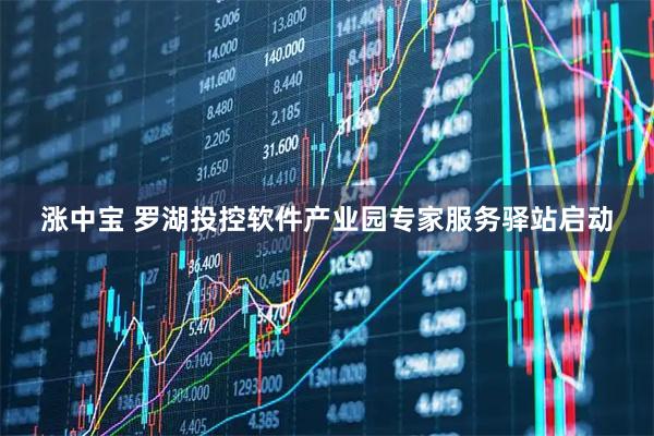 涨中宝 罗湖投控软件产业园专家服务驿站启动
