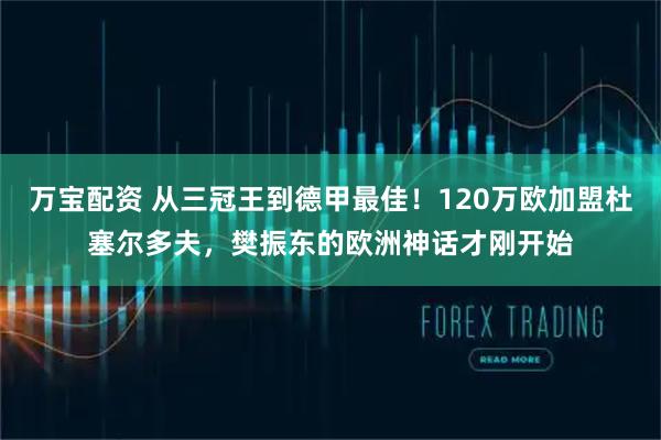 万宝配资 从三冠王到德甲最佳！120万欧加盟杜塞尔多夫，樊振东的欧洲神话才刚开始